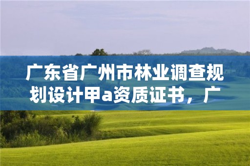 广东省广州市林业调查规划设计甲a资质证书,广东省林业调查规划院工程师