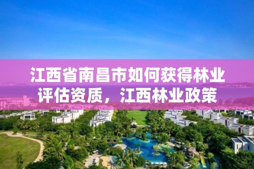 江西省南昌市如何获得林业评估资质,江西林业政策
