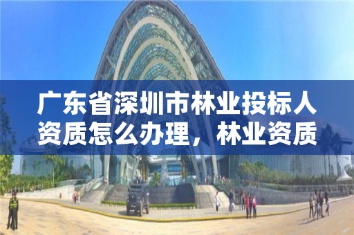 广东省深圳市林业投标人资质怎么办理，林业资质申报材料