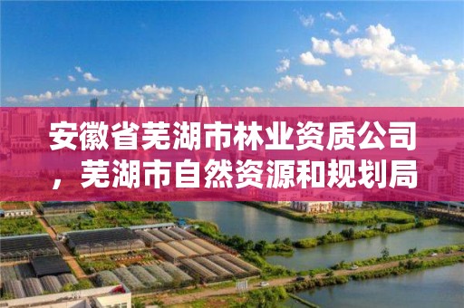 安徽省芜湖市林业资质公司,芜湖市自然资源和规划局林业局
