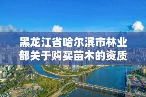 黑龙江省哈尔滨市林业部关于购买苗木的资质,哈尔滨绿化树苗