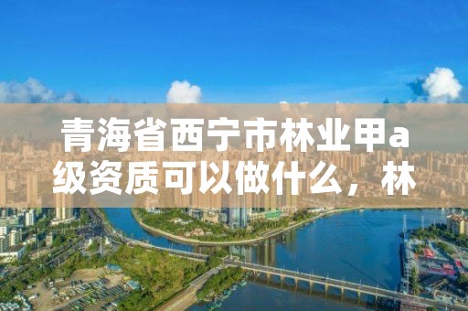 青海省西宁市林业甲a级资质可以做什么，林业乙级资质