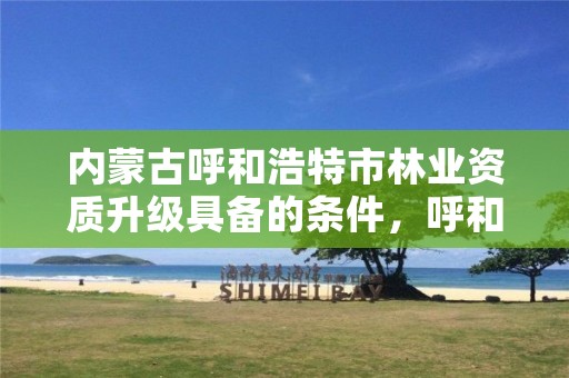 内蒙古呼和浩特市林业资质升级具备的条件,呼和浩特林业厅在哪