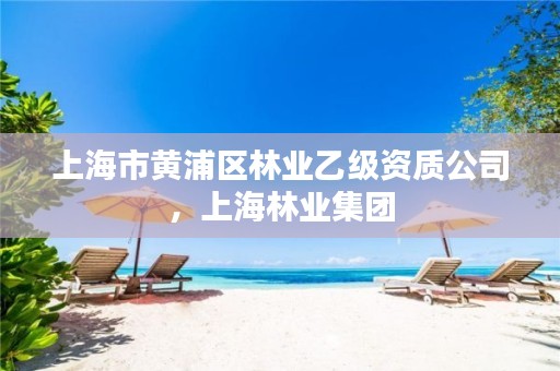 上海市黄浦区林业乙级资质公司，上海林业集团
