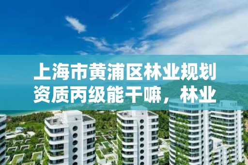 上海市黄浦区林业规划资质丙级能干嘛，林业资质证书丙级