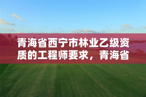 青海省西宁市林业乙级资质的工程师要求，青海省林业职称评审条件