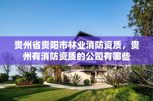 贵州省贵阳市林业消防资质,贵州有消防资质的公司有哪些