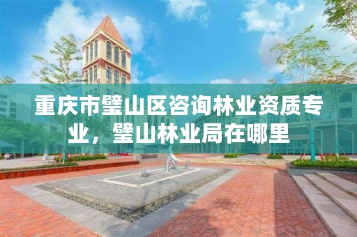 重庆市璧山区咨询林业资质专业，璧山林业局在哪里