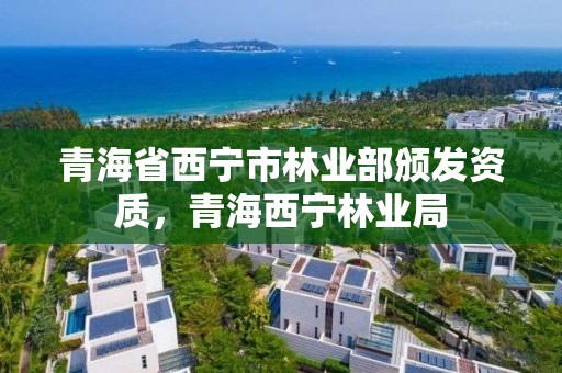 青海省西宁市林业部颁发资质，青海西宁林业局