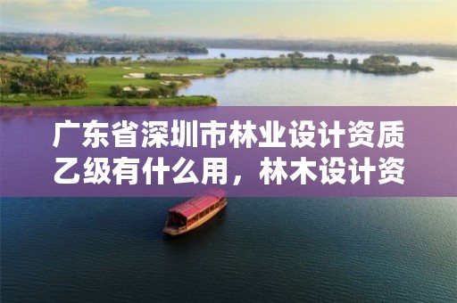 广东省深圳市林业设计资质乙级有什么用,林木设计资质证