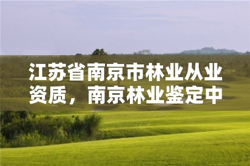 江苏省南京市林业从业资质,南京林业鉴定中心