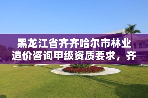 黑龙江省齐齐哈尔市林业造价咨询甲级资质要求,齐齐哈尔林草局电话