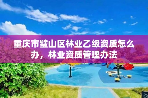 重庆市璧山区林业乙级资质怎么办，林业资质管理办法
