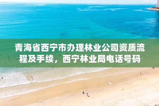 青海省西宁市办理林业公司资质流程及手续,西宁林业局电话号码