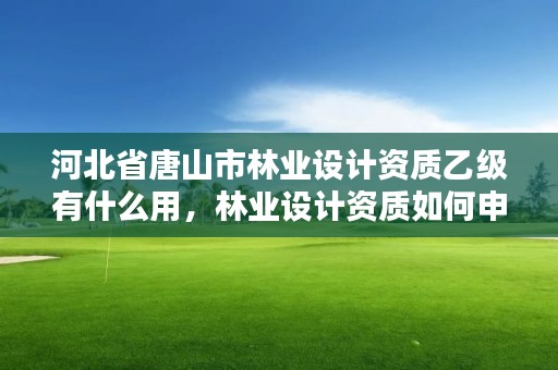 河北省唐山市林业设计资质乙级有什么用,林业设计资质如何申请