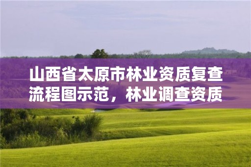 山西省太原市林业资质复查流程图示范,林业调查资质查询