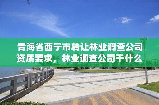 青海省西宁市转让林业调查公司资质要求，林业调查公司干什么的