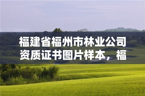 福建省福州市林业公司资质证书图片样本,福州林业厅电话