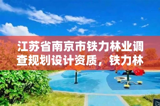 江苏省南京市铁力林业调查规划设计资质,铁力林业局基建科