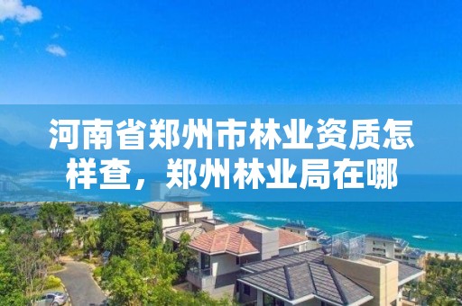 河南省郑州市林业资质怎样查，郑州林业局在哪