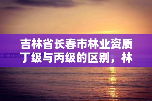 吉林省长春市林业资质丁级与丙级的区别，林业丙级资质办理条件