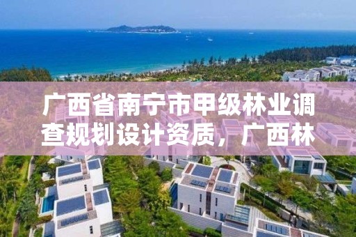 广西省南宁市甲级林业调查规划设计资质,广西林业调查规划设计资质名录