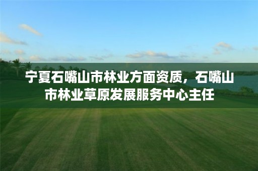 宁夏石嘴山市林业方面资质,石嘴山市林业草原发展服务中心主任