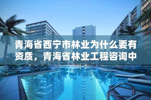 青海省西宁市林业为什么要有资质,青海省林业工程咨询中心是什么性质的单位