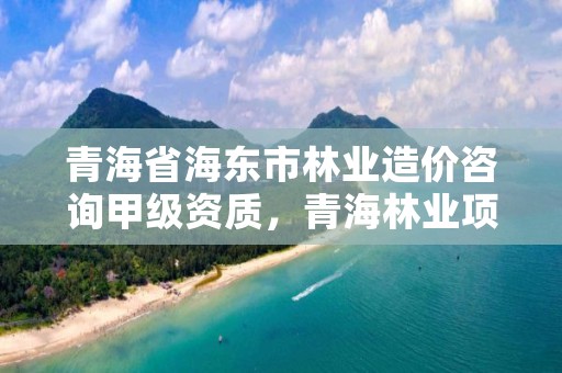 青海省海东市林业造价咨询甲级资质，青海林业项目
