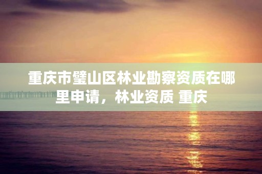 重庆市璧山区林业勘察资质在哪里申请，林业资质 重庆