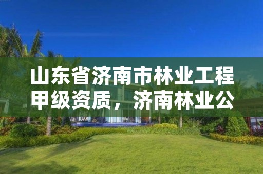 山东省济南市林业工程甲级资质,济南林业公司