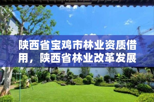 陕西省宝鸡市林业资质借用,陕西省林业改革发展资金管理办法