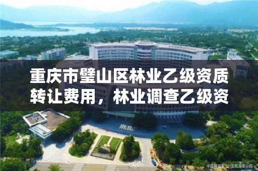 重庆市璧山区林业乙级资质转让费用，林业调查乙级资质转让