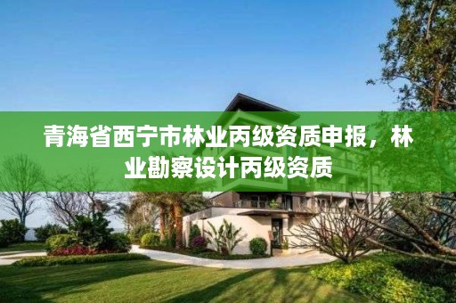 青海省西宁市林业丙级资质申报，林业勘察设计丙级资质