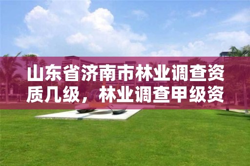 山东省济南市林业调查资质几级,林业调查甲级资质