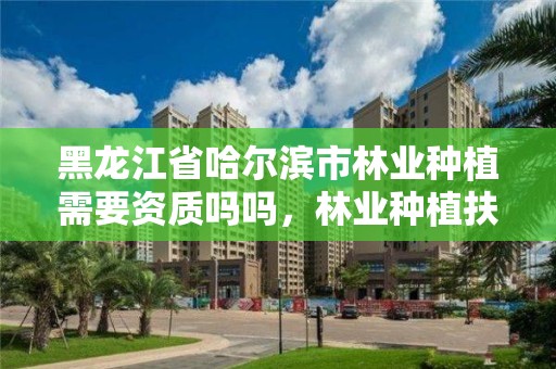 黑龙江省哈尔滨市林业种植需要资质吗吗,林业种植扶持政策