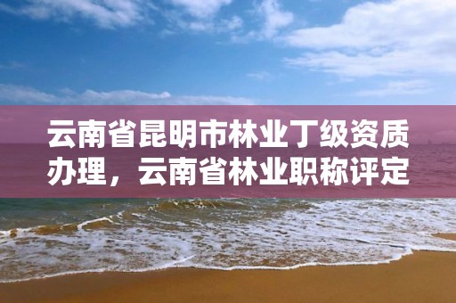 云南省昆明市林业丁级资质办理,云南省林业职称评定办法