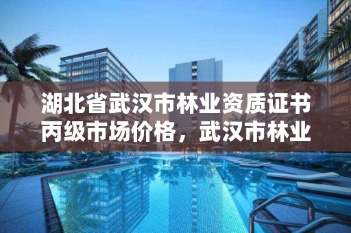 湖北省武汉市林业资质证书丙级市场价格，武汉市林业集团有限公司