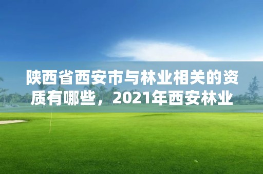 陕西省西安市与林业相关的资质有哪些,2021年西安林业系统招聘