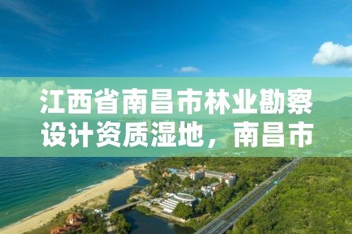 江西省南昌市林业勘察设计资质湿地,南昌市林业投资发展有限公司
