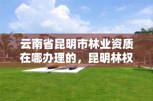云南省昆明市林业资质在哪办理的，昆明林权交易中心