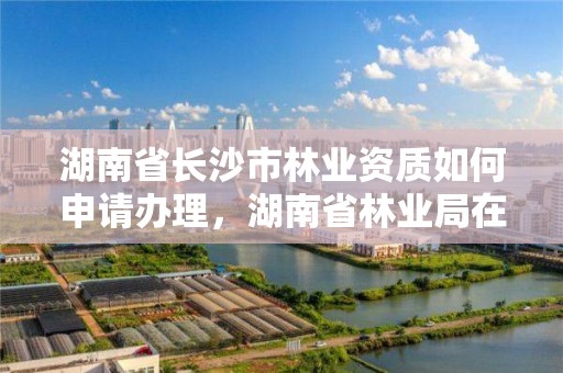 湖南省长沙市林业资质如何申请办理,湖南省林业局在长沙哪个区