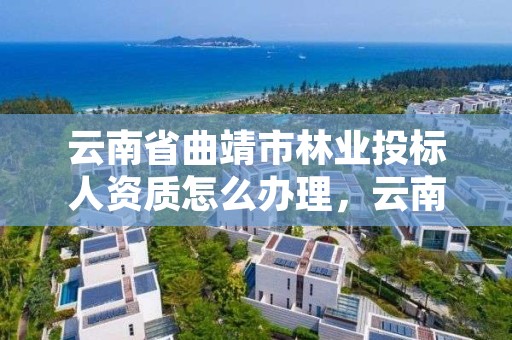 云南省曲靖市林业投标人资质怎么办理，云南林业资质代办公司