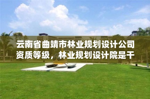 云南省曲靖市林业规划设计公司资质等级，林业规划设计院是干什么的