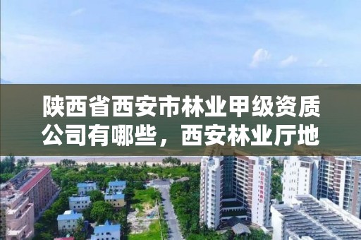 陕西省西安市林业甲级资质公司有哪些,西安林业厅地址