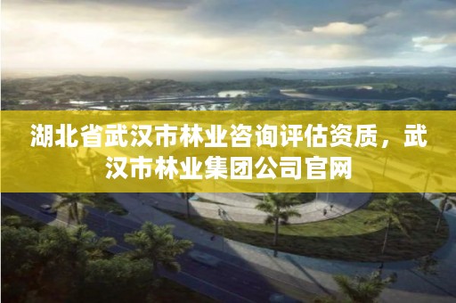 湖北省武汉市林业咨询评估资质，武汉市林业集团公司官网