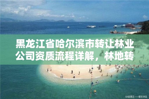 黑龙江省哈尔滨市转让林业公司资质流程详解,林地转让在哪个网站