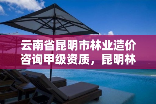 云南省昆明市林业造价咨询甲级资质，昆明林业公司