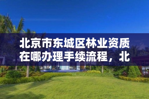 北京市东城区林业资质在哪办理手续流程,北京林权证