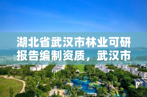 湖北省武汉市林业可研报告编制资质，武汉市林业发展有限责任公司